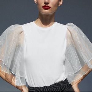 ZARA Organza Top